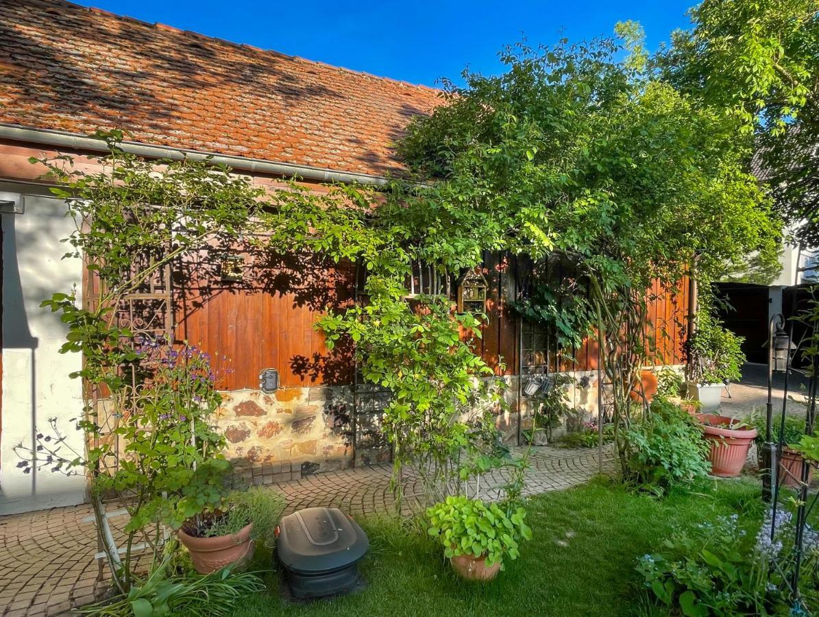 Ferienhaus Burgblick Münzenberg Екстериор снимка