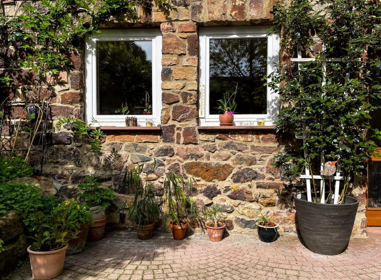 Ferienhaus Burgblick Münzenberg Екстериор снимка