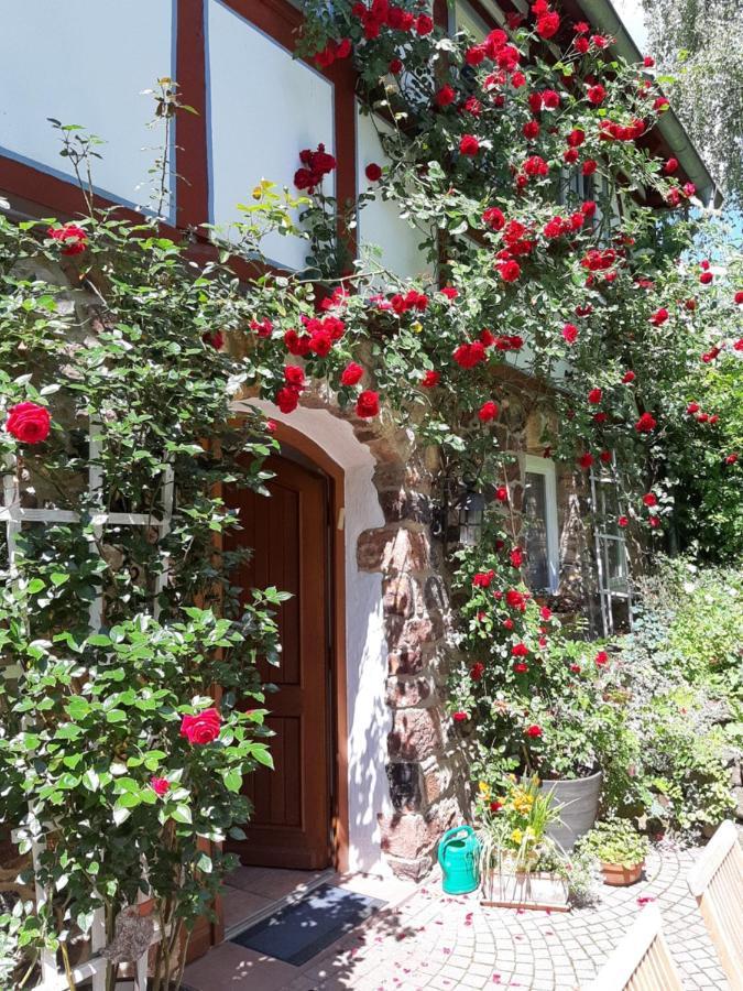Ferienhaus Burgblick Münzenberg Екстериор снимка